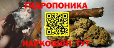 трава Краснодар