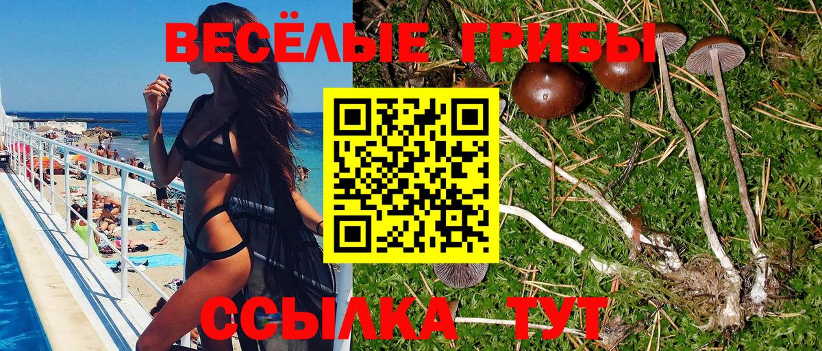 Кисловодск  Галлюциногенные грибы Psilocybe  Вход с VPN 