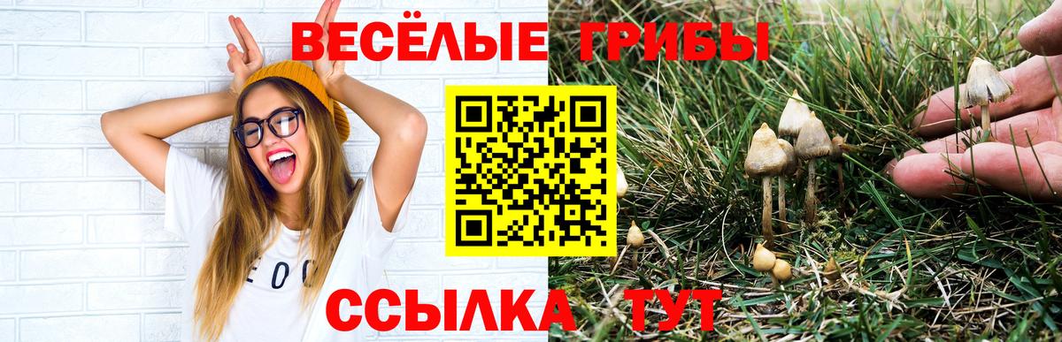 Кисловодск  МАРИХУАНА  NBOMe  МЕТАМФЕТАМИН  Вход с VPN  ГАШИШ  ГАШ  Мефедрон кристаллы  Кокаин  Alpha PVP СОЛЬ кристаллы 